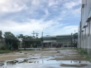 ĐẦU TƯ SINH LỜI - CHÍNH CHỦ Cho Thuê Đất Mặt Tiền Đường 835 - Vị