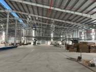 XT178 cho thuê nhà xưởng kiên cố, tiếp nhận linh hoạt ngành nghề
