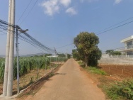 Bán đất Liên Nghĩa Lâm Đồng giá 2ty9-  DT242m2