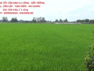 ĐẤT ĐẸP - GIÁ TỐT CẦN BÁN 51 CÔNG - ĐẤT TRỒNG LÚA 2 VỤ...TÂN LẬP -
