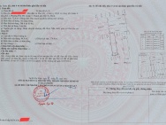 Bán nhà 8x18 - full 4 tầng. Đường 2C, P. Phú Mỹ, Quận 7 (P. Tân