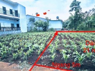 ĐẦU TƯ SINH LỜI – CHÍNH CHỦ CẦN BÁN ĐẤT Tại phường Tân An (trước là