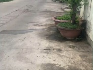 CHÍNH CHỦ BÁN NHANH CĂN NHÀ VỊ TRÍ ĐẮC ĐỊA 2 P. Tây Nha Trang Có