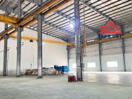 XT192 cho thuê nhà xưởng sản xuất khuôn viên sân bãi lớn thích hợp