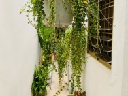 Bán nhà mới 52m² Hoà Hưng – Không gian sáng thoáng, thiết kế hiện