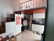 NHƯỢNG CỌC - TÌM 1 BẠN Ở GHÉP VƯỜN LÀI, QUẬN 12 ,THÀNH PHỐ HỒ CHÍ