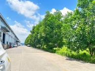 XT218 Nhà Xưởng kiên cố, xưởng trống sẵn sàng bàn giao hoạt động