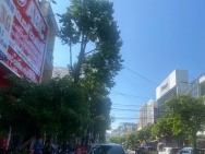 CHO THUÊ TÒA NHÀ 3 TẦNG – MẶT BẰNG KINH DOANH TRUNG TÂM QUY NHƠN