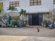 HÀNG HIẾM XUÂN THỚI SƠN – XƯỞNG 1.200M², ĐƯỜNG 10M – XE 10 TẤN