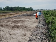Bán Nhanh Lô Đất Tại Ấp 3, Tân Long , Tây Ninh.