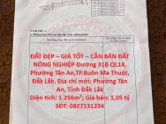 ĐẤT ĐẸP – GIÁ TỐT – CẦN BÁN ĐẤT NÔNG NGHIỆP Đường 31B QL14, Phường