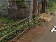 CHÍNH CHỦ BÁN GẤP 2.000M² ĐẤT CÂY LÂU NĂM MẶT TIỀN ĐƯỜNG TÂY HÒA,