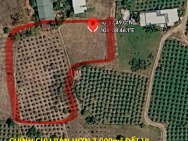 CHÍNH CHỦ BÁN HƠN 3.000m² ĐẤT VỊ TRÍ ĐẸP Tại THỊ TRẤN PHÚ LONG, HÀM