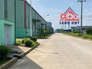 XT250 cho thuê kho lưu trữ, vận hành logisic kho trống sẵn sàng,