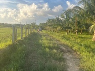 Bán gấp 1000m2 đất hẻm Nguyễn Thông, Tân Bình, LaGi giá rẻ 1.4 tỷ