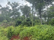 ĐẦU TƯ SINH LỜI – CẦN BÁN LÔ ĐẤT TẠI xã Bình Giã, Châu Đức, Bà Rịa