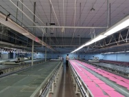 CHO THUÊ XƯỞNG 650m² BÀ ĐIỂM – ĐIỆN 3 PHA, CÓ SẴN VĂN PHÒNG!
