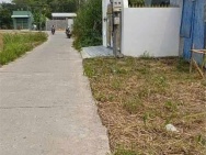 Bán đất thủ thừa sát kcn hòa bình, đón đầu sóng phát triển đô thị
