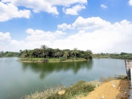 Chính chủ cắt lỗ đất Đồng Trạng khu dân cư hiện hữu, đường rộng, ô