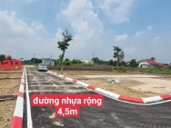 Đất Thái Lai-Minh Trí cũ đường trải nhựa sổ cực đẹp, giá cực xinh.