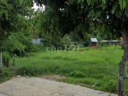 Chính chủ cho thuê đất ruộng mặt tiền đường Nguyễn Văn Bứa, Xã Xuân