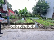 MẢNH ĐẤT TIÊU ĐẸP 76M OTO VÀO TẬN ĐẤT NGAY QL 32 TẠI NGỌC TẢO _