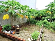 ĐỔI CHỦ CHO ĐẤT THỔ CƯ 41,9M² – CAO XÁ, HOÀI ĐỨC, HÀ NỘI