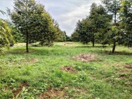 Cơ Hội Vàng Đầu Tư – Đất Mặt Tiền TP.HCM (BRVT cũ)