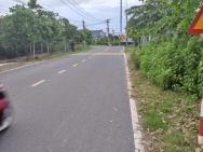 CHÍNH CHỦ CẦN BÁN GẤP VƯỜN BƯỞI ĐANG THU HOẠCH - 1000m² TẠI TÂN