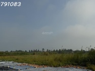 CẦN BÁN 2,14 HA ĐẤT TẠI CỤM CÔNG NGHIỆP MỸ HIỆP, ĐỒNG THÁP (CAO