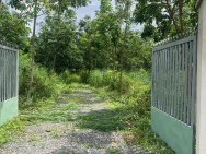 Bán đất xã Hiếu Liêm, Bắc Tân Uyên 3 mặt tiền, cao su 4 năm tuổi