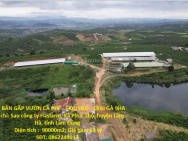 ĐẤT  ĐẸP- GIÁ TỐT- CẦN BÁN NHANH ĐẤT tại Xã Phúc Thọ, Lâm Hà, Lâm