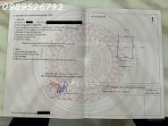 Đất nền tại KĐT An Bình Phát,Phường Hồng Phong, Đông Triều, Quảng