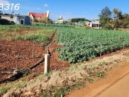 CẮT LỖ BÁN NHANH LÔ ĐẤT siêu đẹp tại TuTra Xã Đơn Dương, Lâm Đồng