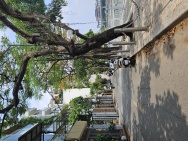 NHỈNH 20 TỈ - NHÀ HOÀNG CẦU SẴN 6 TẦNG - NGÕ THÔNG Ô TÔ