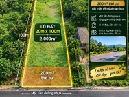 Bán trang trại tại rừng thông Dak Lép, 1,86 tỷ, 2000m2, bao đẹp