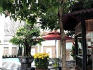 Bán biệt thự Dương Đình Nghệ gần biển, 648m2, mặt tiền 24m, giá 167