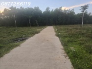 Cần bán nhanh lô đất đẹp xã Thọ Phong, Tỉnh Quảng Ngãi, 123,9m2,