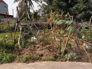 BÁN ĐẤT TÂN THÀNH DƯƠNG KINH 98M2 – NGÕ BÊ TÔNG RỘNG – GIÁ ĐẦU TƯ