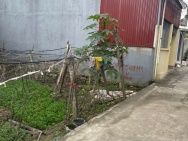 BÁN ĐẤT KHU CÁT BI 1 – TRÀNG CÁT – HẢI AN – HẢI PHÒNG