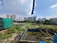 BÁN GẤP ĐẤT VÀNG 4140m2  Nguyễn Xiển – Long Thạnh Mỹ - Q9 Chỉ 50 Tỷ