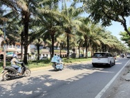 Bán nhà Mặt tiền Đường số 9A, trục Chính KDC Trung Sơn, 10x20m, 8