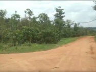CHÍNH CHỦ CẦN BÁN 9 SÀO ĐẤT ĐẸP – ĐẮK WUAL 4, ĐẮK RUNG, ĐẮK SONG,