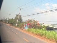 Cần bán đất Tỉnh Lộ 796 Xã Ninh Điền ,huyện Châu Thành ,Tỉnh Tây