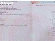 Bán lô đất siêu đẹp tại đường N7, Lai Hưng, Bàu Bàng, DT 150m2, giá