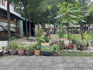 Đất Thủ Dầu Một 5x25m – Mặt Tiền Đường 7m – Ô Tô Quay Đầu