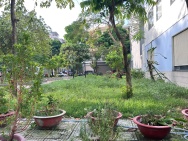 Siêu Phẩm Đất Mặt Tiền Đường 7m – Ngang 5m Dài 24m – Trung Tâm Thủ Dầu Một