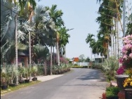 Bán Nhà Đường Trần Khánh Dư- Khu Làng Hoa Sa Đéc, 380m2, giá 2 tỷ 8