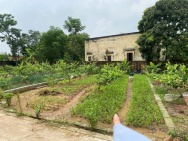 SỞ HỮU NGAY ĐẤT ĐẸP - GIÁ TỐT - Vị Trí Đắc Địa Tại  Chương Dương,