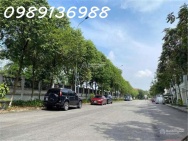 Bán biệt thự đẹp 84m2, đường Osaka, khu đô thị Long Việt Riverside